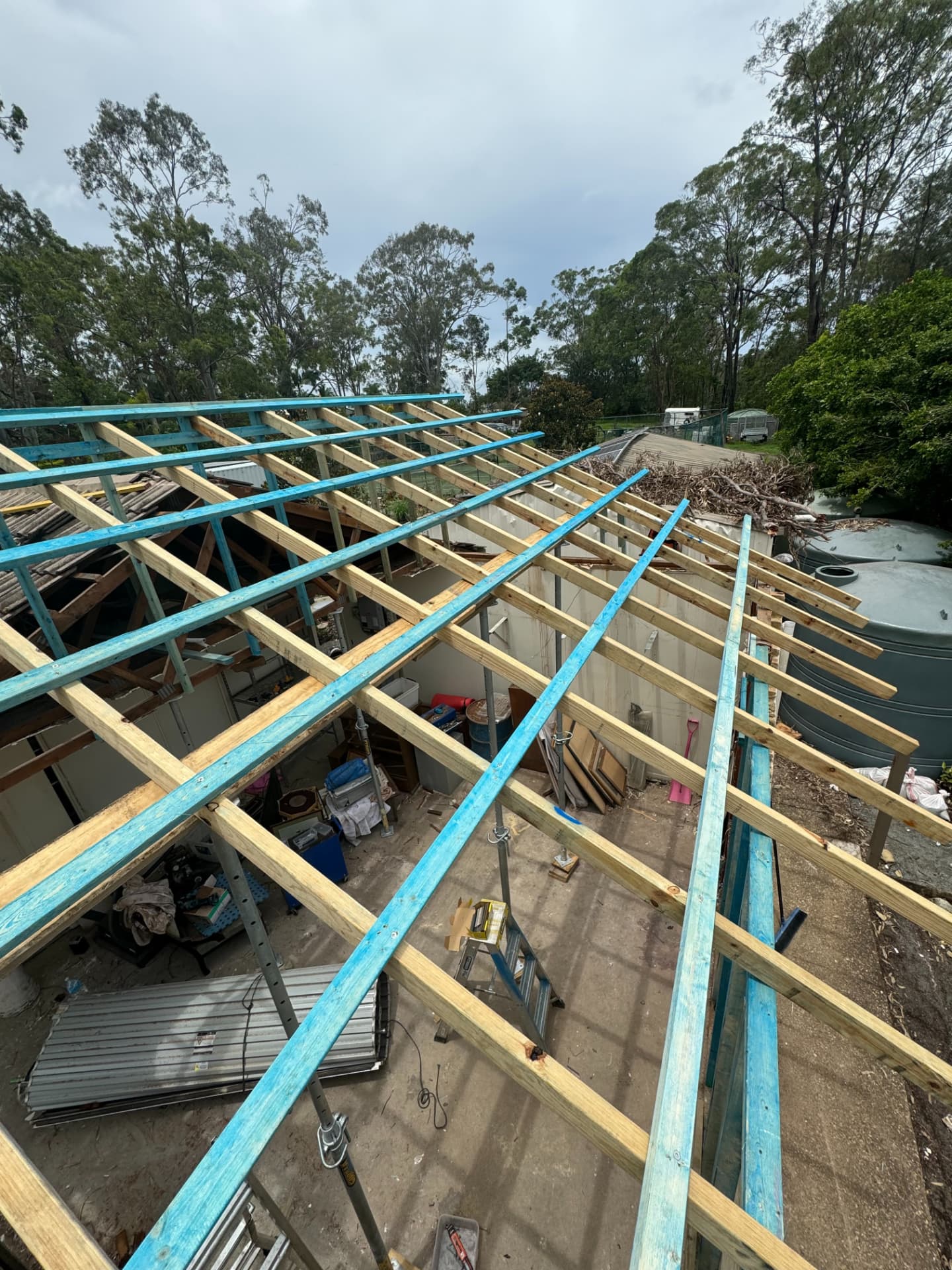 New timber roof framing set out on temporary props above the stripped building