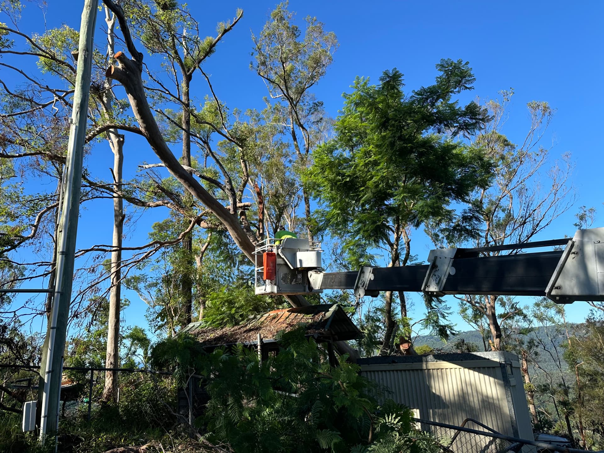 Elevated work platform reaching high into storm-damaged canopy above a structure